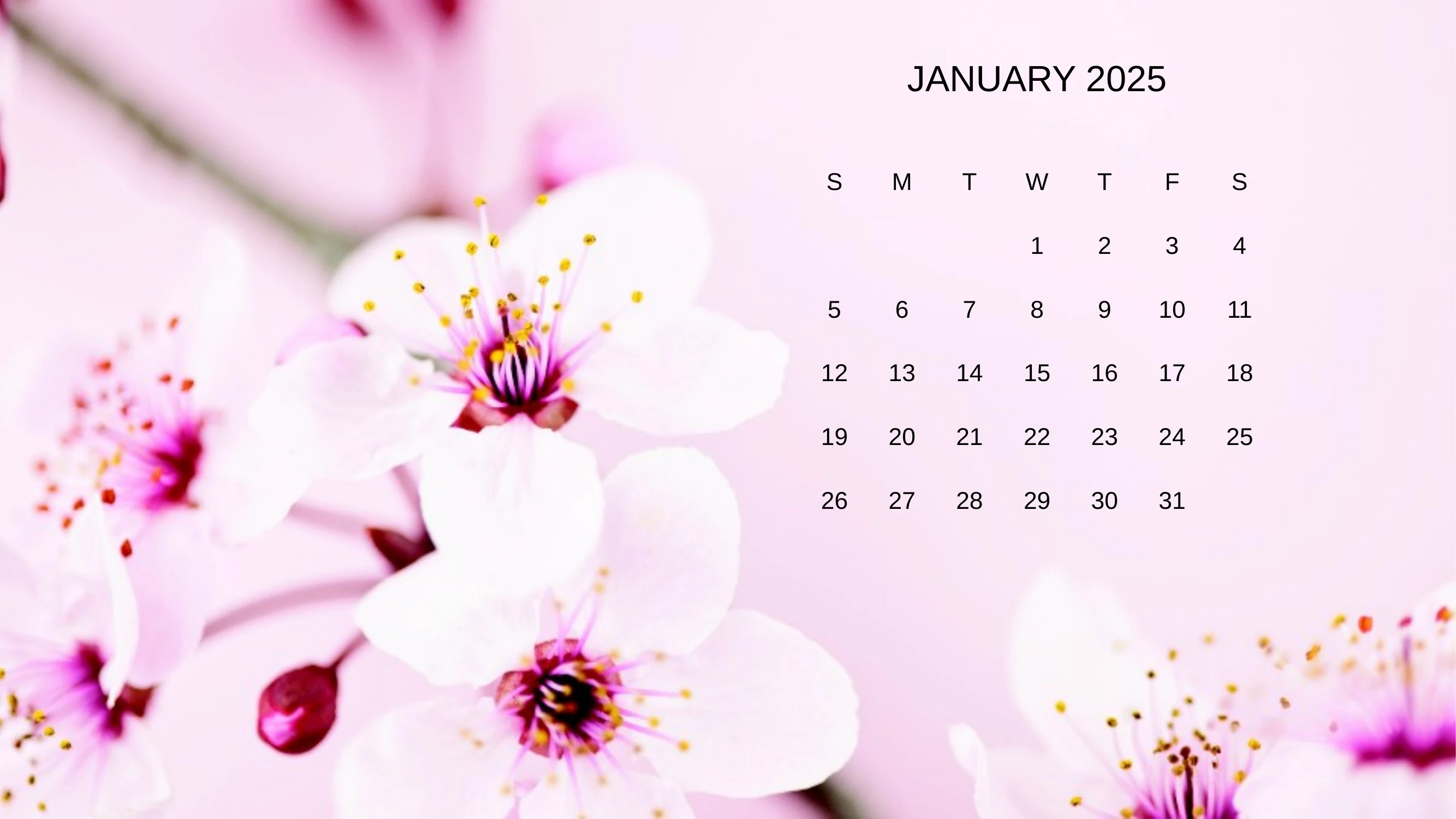 Preview of 2025 Monthly Calendar - Slide 1