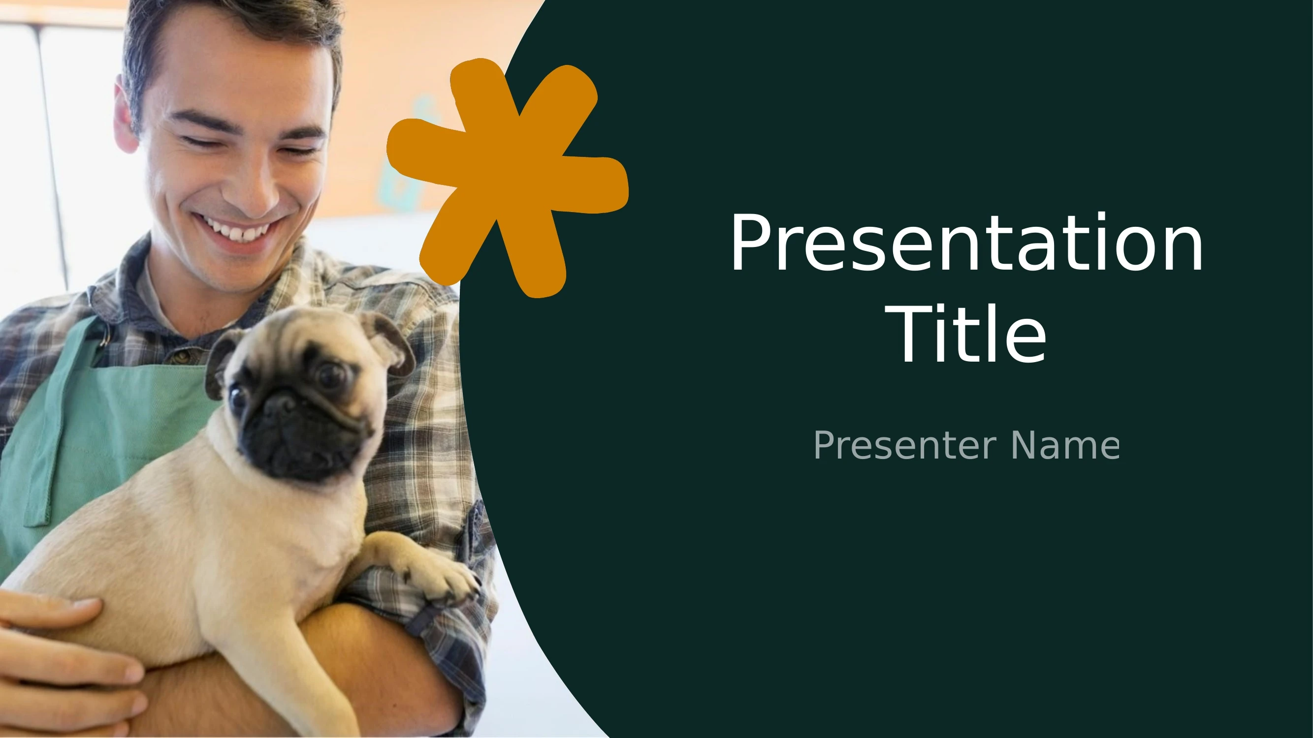 Preview of PowerPoint Presentation Features and Usage - Slide 1