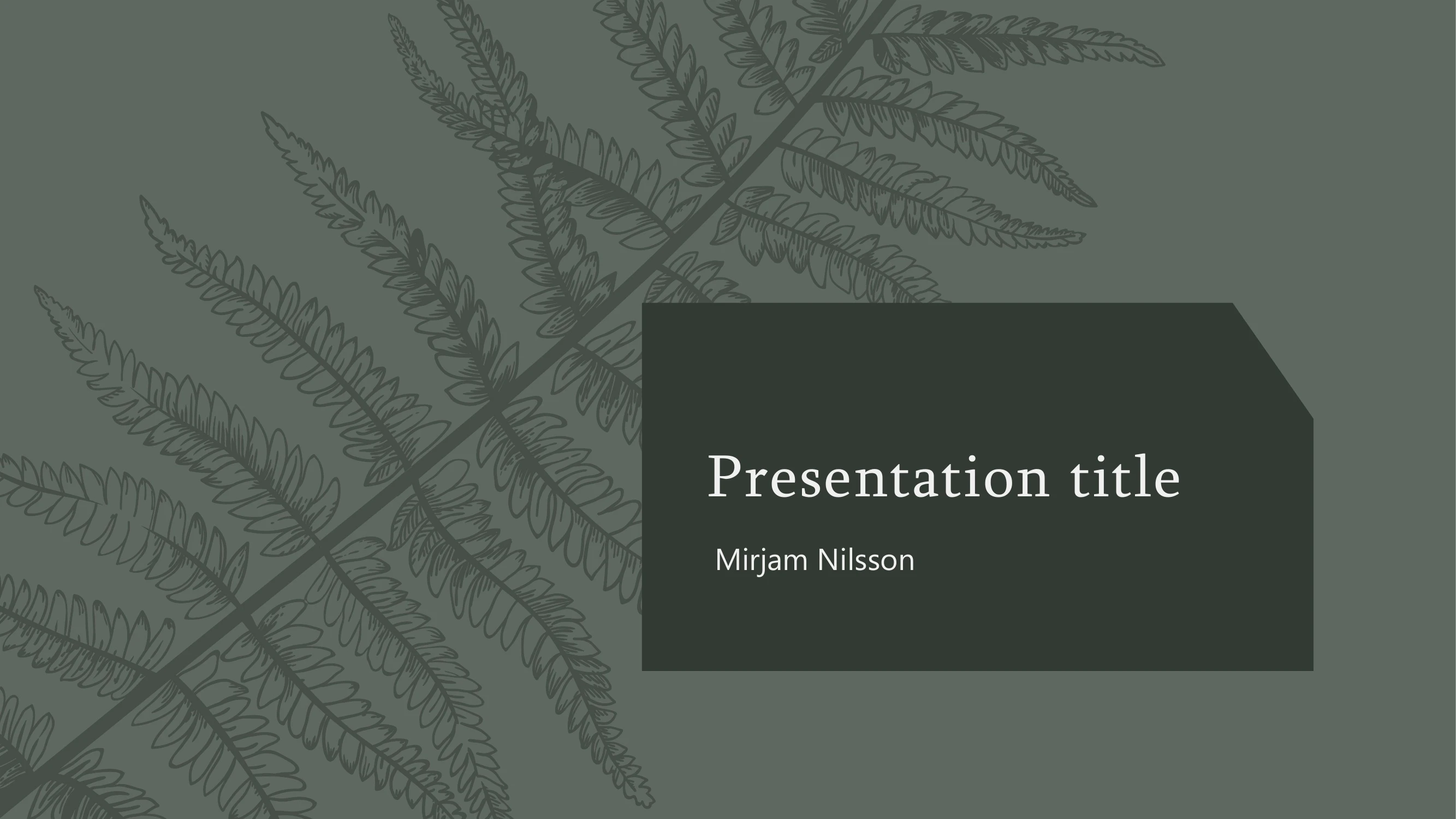 Preview of Contoso Product Presentation: A Solution for a Niche Market - Slide 1