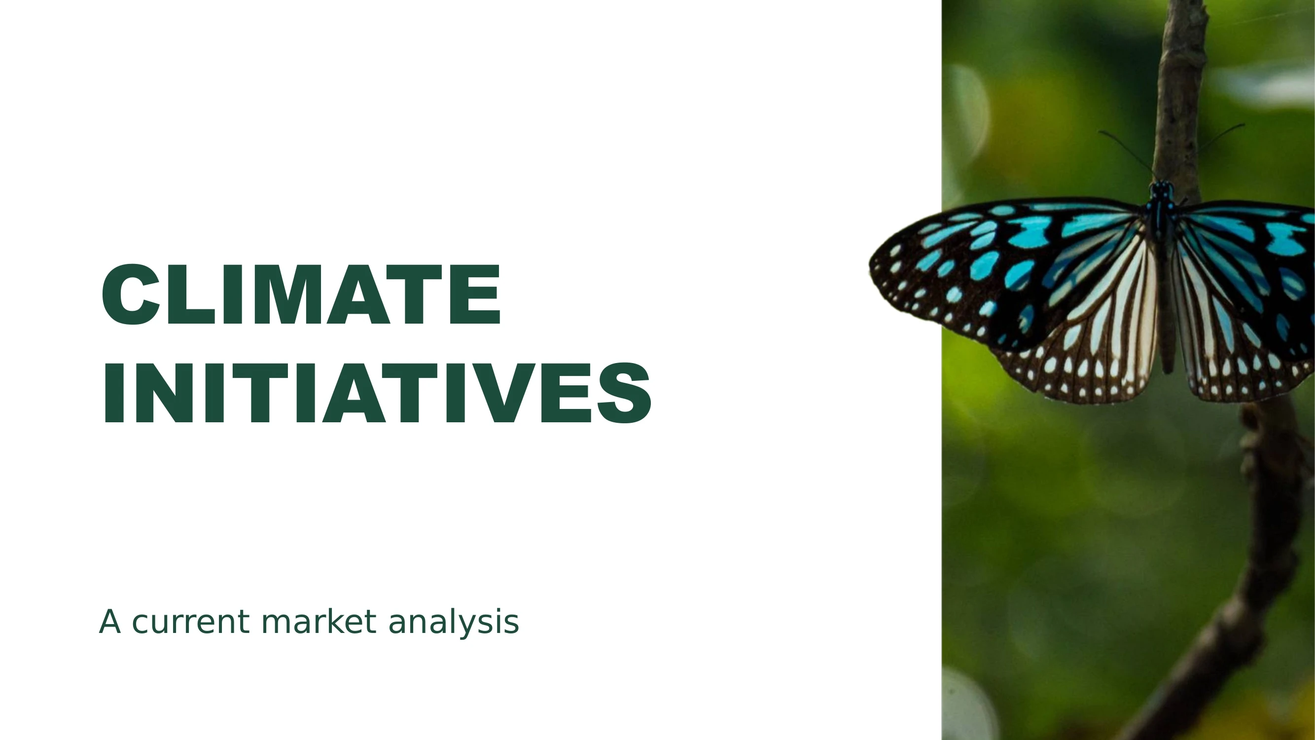 Preview of Nature Course: Market Analysis, Growth Strategies, and Future Initiatives - Slide 1