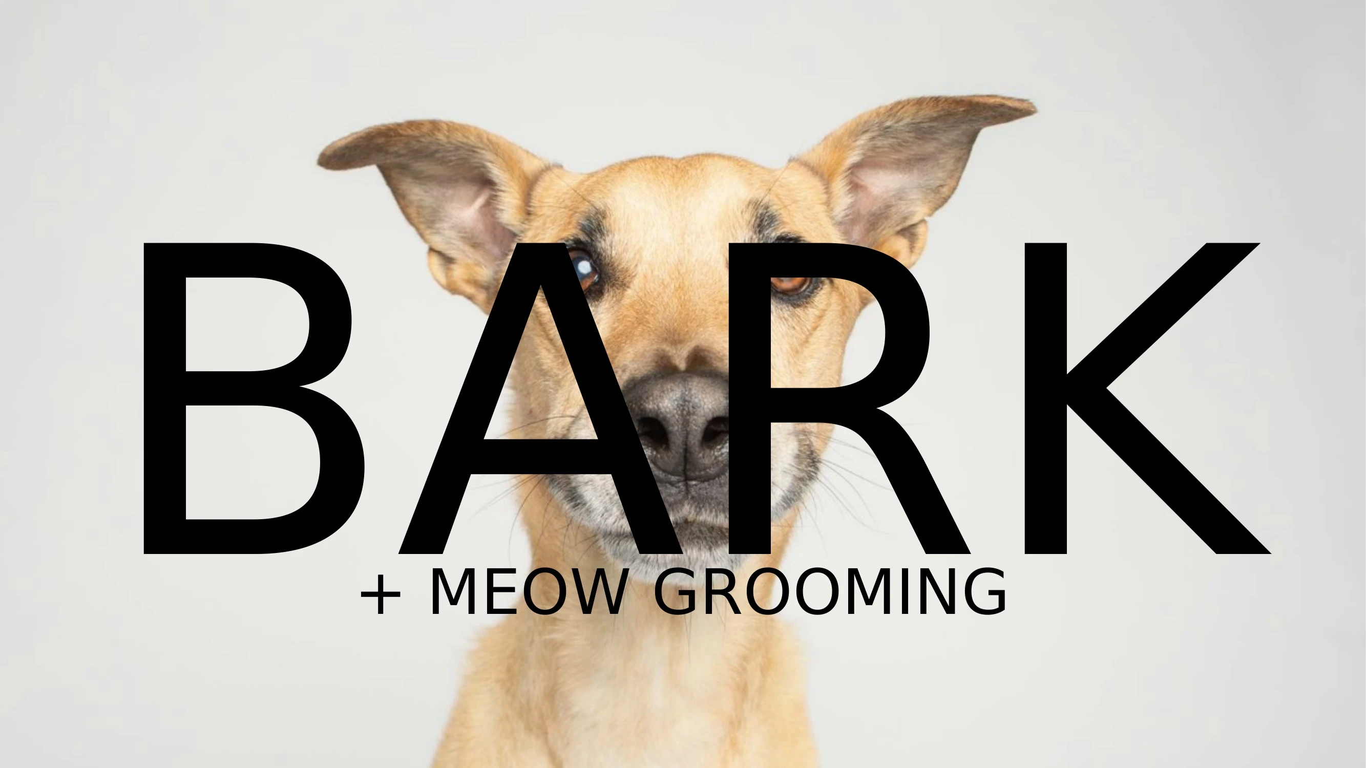 Preview of Bark + Meow Pet Grooming: Pampering Your Fur Babies - Slide 1